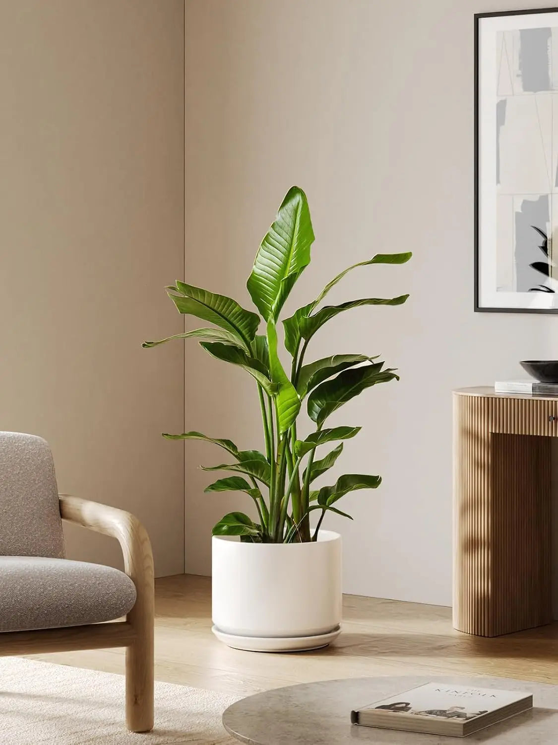 12" Ceramic Plant Pot with Drainage & Saucer, Elegant White, Perfect for Indoor Plants, Home & Office Decor